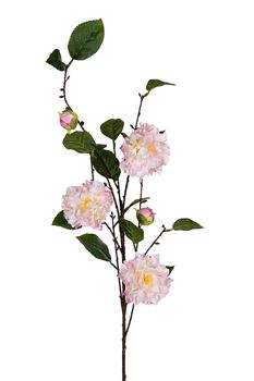 Camellia l95cm roze