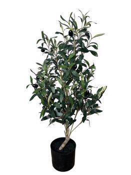 olive tree bonsai lg 80 cm in pot w/berry green