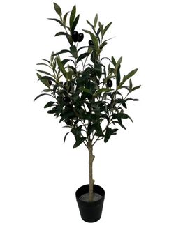 olive tree op stam new 70 cm w/berry green