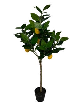 Lemon tree op stam 80 cm yellow