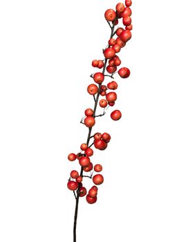 Malus spray large 140 cm red