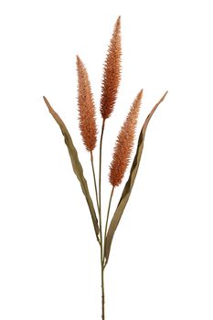 Pennisetum l92cm oranje