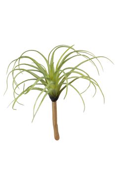 Tillandsia l22cm groen