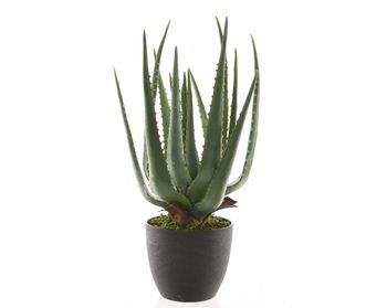 Plastik-Aloe im Topf grün 40cm