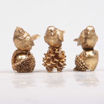 VOGEL OP NOOT 3 ASS 5X3X6 CM GOUD