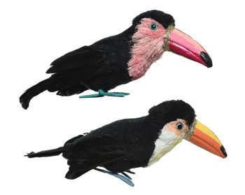 pes toucan w feder 2 sortiert 12x8x36cm