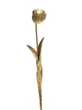 Double Tulip Sally 43cm gold (S)