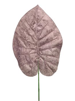 Velvet philo leaf wine red 70cm