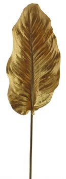 Hosta leaf old gold 99cm