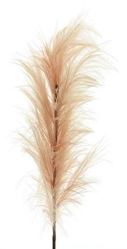 Feather spray pink 160cm