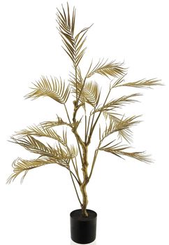 Kentia palm in pot gold 110cm