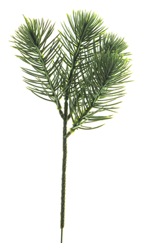 Pine pick Edward green 22cm