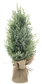 Zedern-Weihnachtsbaum Carly geeist 38cm