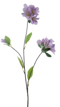 Weigelia spray purple 85cm