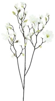 Magnolia branche Osaka white123cm