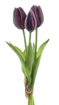 Real Touch Jan Steen tulip bundle Sally x3 purple 25cm