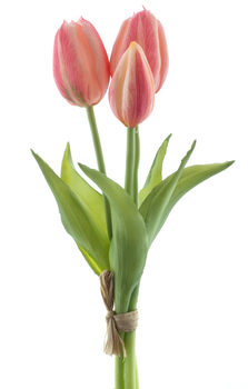 Real Touch Jan Steen tulip bundle Sally x3 pink 25cm
