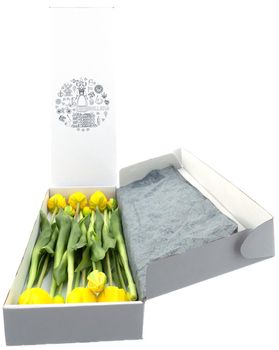 Real Touch tulip Sally yellow 46cm in gift box