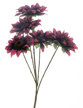 Sunflower bush Malibu burgundy 48cm