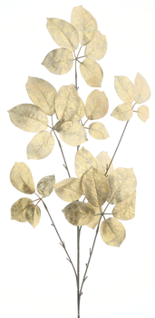 Prunus leaf spray gold 94cm