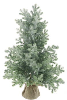 Fir tree in pot Eltville frosted green 45cm