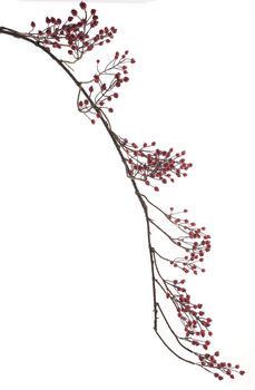 Rosa canina berries garland red 150cm