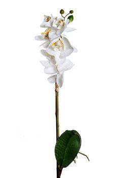 REAL TOUCH PHALAENOPSIS BRANCH 42CM