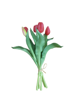 Bundel tulpen x5 ''real touch'' 35cm Fuchsia