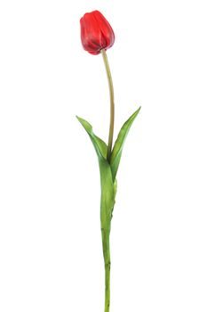 REAL TOUCH TULIP STEM H 47 CM RED