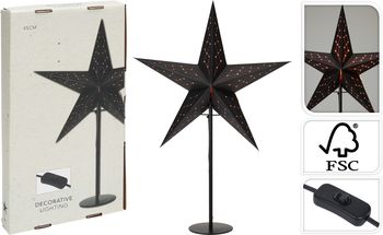 STER OP STANDAARD D45 H66CM ZWART 1,9MTR SNOER