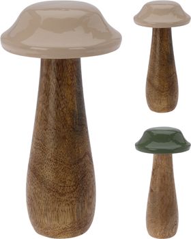 PADDENSTOEL MANGOHOUT D10 H20CM 2 ASSORTIE GROEN/BEIGE