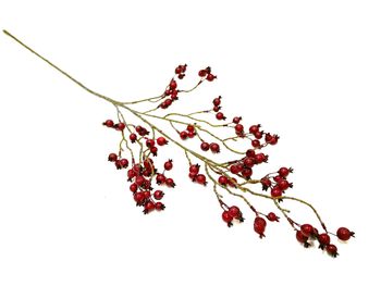 Berryspray red 107cm