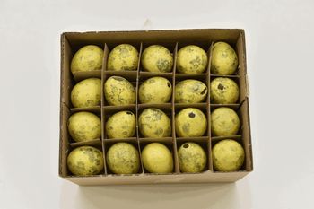 Quail eggs yellow ocher 60pcs