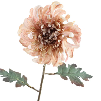 Crysanthemum Dried 68cm  Peach