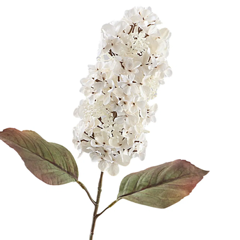 Cone Hydrangea Dried 66cm Beige