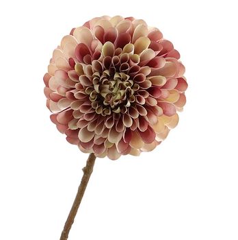 Dahlia 65cm Mauve/Cream