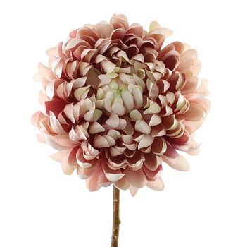Chrysanthemum 65cm Cream/Pink