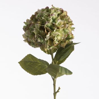 Hydrangea L102cm Green
