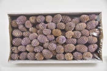 Muirii 10cm Wire Box Lilac-wash (100pcs)