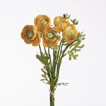 Ranunculus Bundle x5 L38cm w/raffia Yellow