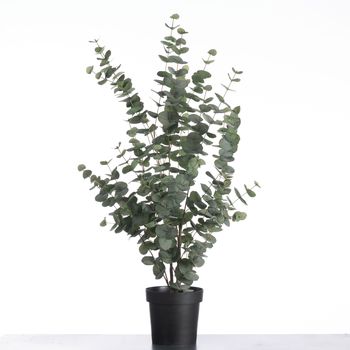 Eucalyptus in pot H117cm Green/Grey