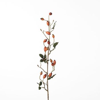 Rosehip Zaffiro Spray L84cm Orange