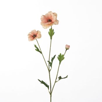 Ranunculus Butterfly L58cm Peach