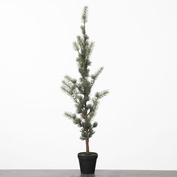 Pine Tree in Pot L88cm Green