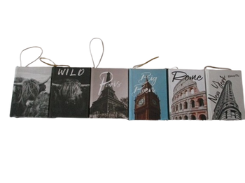 Books Hanging 9,5x7cm Buffalo/City Mix