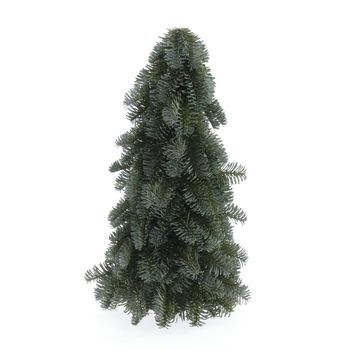 Nobilis Tree H30cm Green