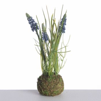 Muscari x3 on Mossball L24cm Blue