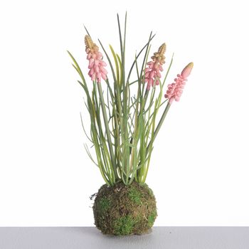 Muscari x3 auf Mooskugel L24cm Rosa