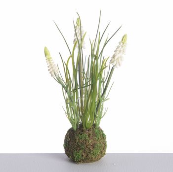 Muscari x3 auf Mooskugel L24cm Weiß