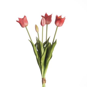 Real Touch Tulip Bundle x5 L45cm Beauty